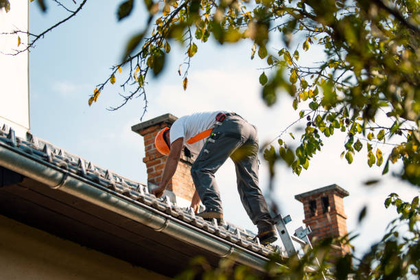 Roof Waterproofing Services in Rapid Valley, SD